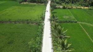 Petani perdesaan Lebak mengangkut karung gabah hasil panen menggunakan sepeda motor