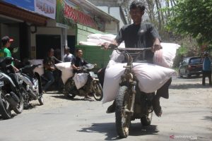 Petani perdesaan mengangkut karung pupuk menggunakan sepeda motor di jalan desa